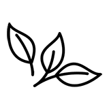 natural icon